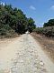 092 - Voie romaine au Sud d-Aleria.JPG